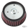 REPL FILTER STG-I FLH/T99-01 EFI
