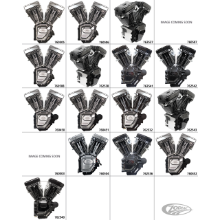 T124A engine, silver, No Induction/Ign