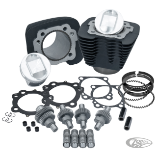 S&S Hooligan 1250 kit 1200XL00-up Black