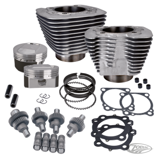 S&S Hooligan 1250 kit 1200XL00-up Silvr