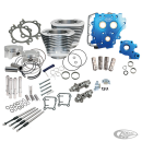 S&S 110CI Powerpack silver 585CE TC07-17