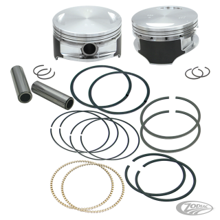 S&S Piston kit 3-7/8x4.5"  +.005 TC