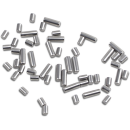 Rod roller set 17+34 BT 73-86 +.0006