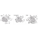 Sump plugs BT99-up 1/4-18 NPT, set of 2