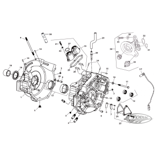 Oil filter adapter nut