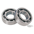 Jims Outer cam bearing kit TC01-06