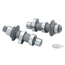 ROLLER CAM CHAIN, SECONDARY TC06-17