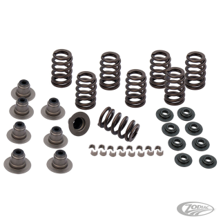 S&S .605" valve spring kit ME17-up