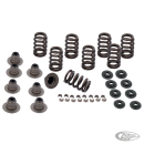 S&S .605" valve spring kit ME17-up