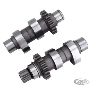 Camshafts TW21 bolt-in TC99-06 ex FXD06