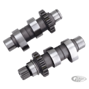 Camshafts TW21 bolt-in TC99-06 ex FXD06