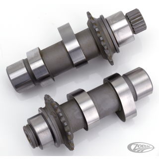 Camshafts 21H bolt-in FXD06 TC07-17