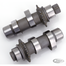 Camshafts 21H bolt-in FXD06 TC07-17