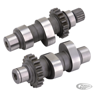 Camshafts TW26 TC99-06 ex FXD06