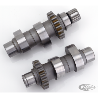 Camshafts TW37 TC99-06 ex FXD06