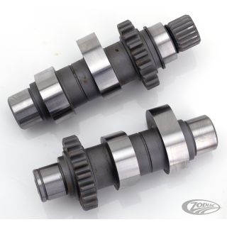 Camshafts TW50 TC99-06 ex FXD06