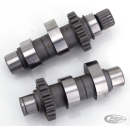 Camshafts TW50 TC99-06 ex FXD06