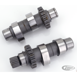 Camshafts TW60 TC99-06 ex FXD06