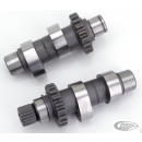 Camshafts TW60 TC99-06 ex FXD06