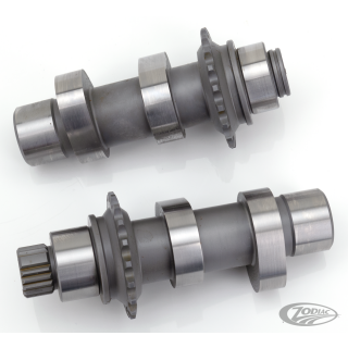 Camshafts 60H bolt-in FXD06 TC07-17