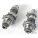 Conversion Cams set 55N TC99-06 FXD99-05