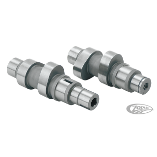 Camshafts 21G bolt-in TC99-06 ex FXD06