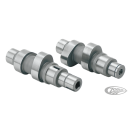 Camshafts 21G bolt-in TC99-06 ex FXD06