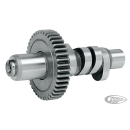 Andrews camshaft BT84-99 EV13 grind
