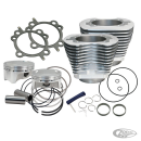S&S 110CI kit TC07-17 silver