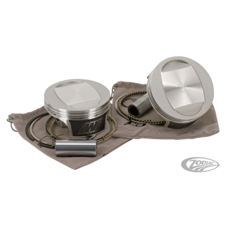 Tracker 1340 EVO Domed 10.0:1 CR STD