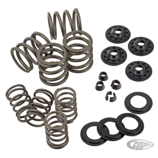 Complete Valve spring kit OHVBT36-47