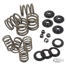Complete Valve spring kit OHVBT36-47