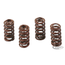 Andrews hi-lift valve springs BT84-04 XL