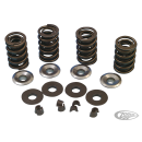 V-Thunder Spring kit BT84-03 chrmoly