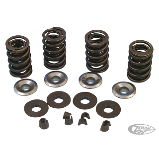 V-Thunder Spring kit BT84-03 titan.