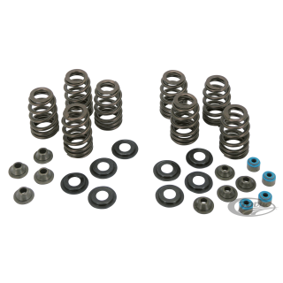 Beehive valve spring kit EV/TC84-04 .660