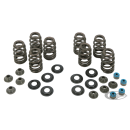 ME17-up Beehive Valve Spring Kit Titan R