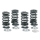 Valve springs Panhead Chr. Silicon