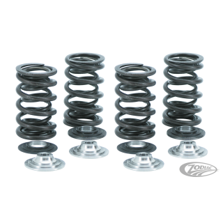 Valve Spring kit w/titan TC05-up XL04-up