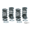 Valve Spring kit w/titan TC05-up XL04-up