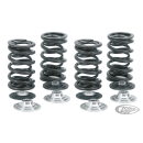 Valve Spring kit w/titan TC05-up XL04-up