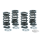 Valve Spring kit w/titan TC05-up XL04-up