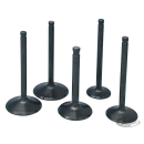 KPMI Conversion Intake Valve in 883 to 1200 XL 1986-2003