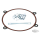 Inner prim. gasket & thrustwshrs BT84-06