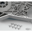 10pck Lock Tab Inner Pri. Cover BT85-06