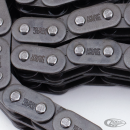Primary chain 45ci 100 link solo models