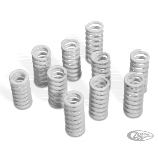 Barnett H-duty clutch spring 41-84 set10