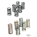 Barnett H-duty clutch spring 41-84 set10