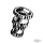 Counter shaft cluster gear 45CI
