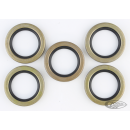 5pck double lip oil seal mainshaft